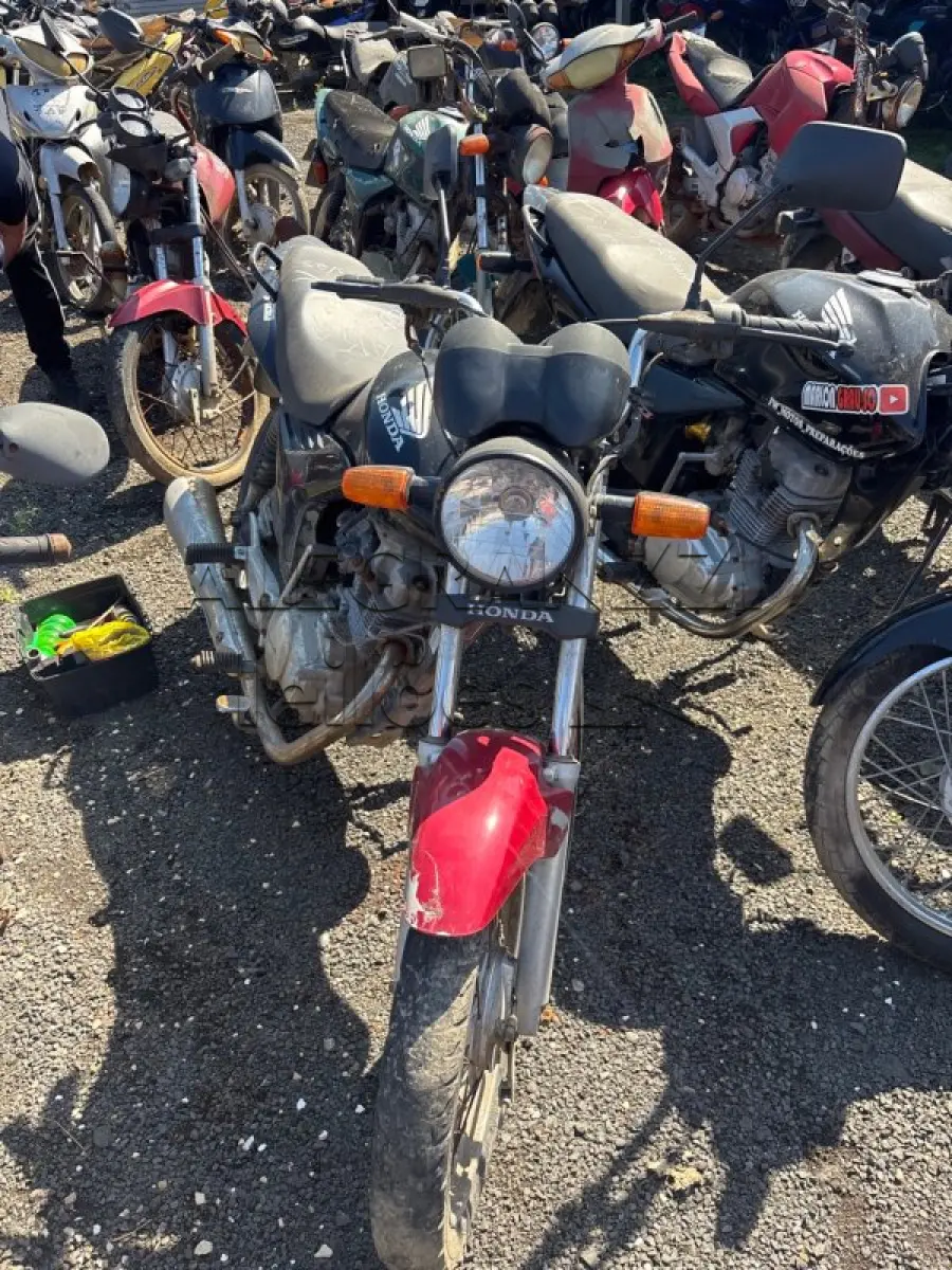 LOTE 0475