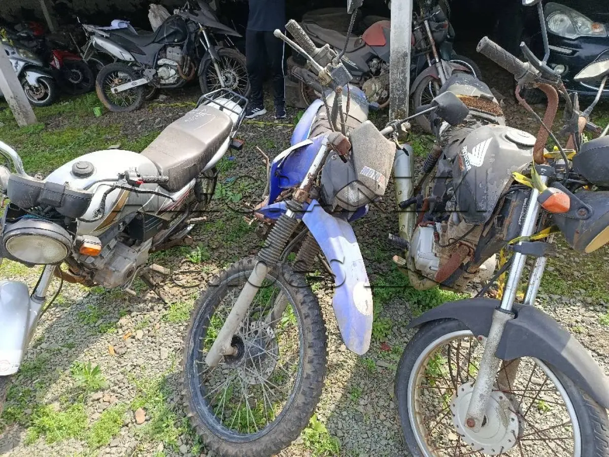 LOTE 0473