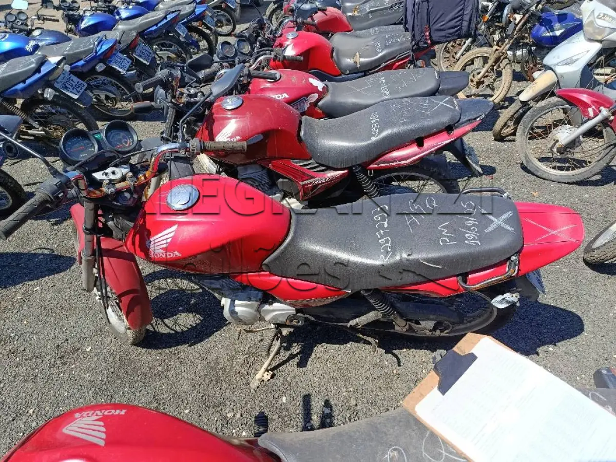 LOTE 0491