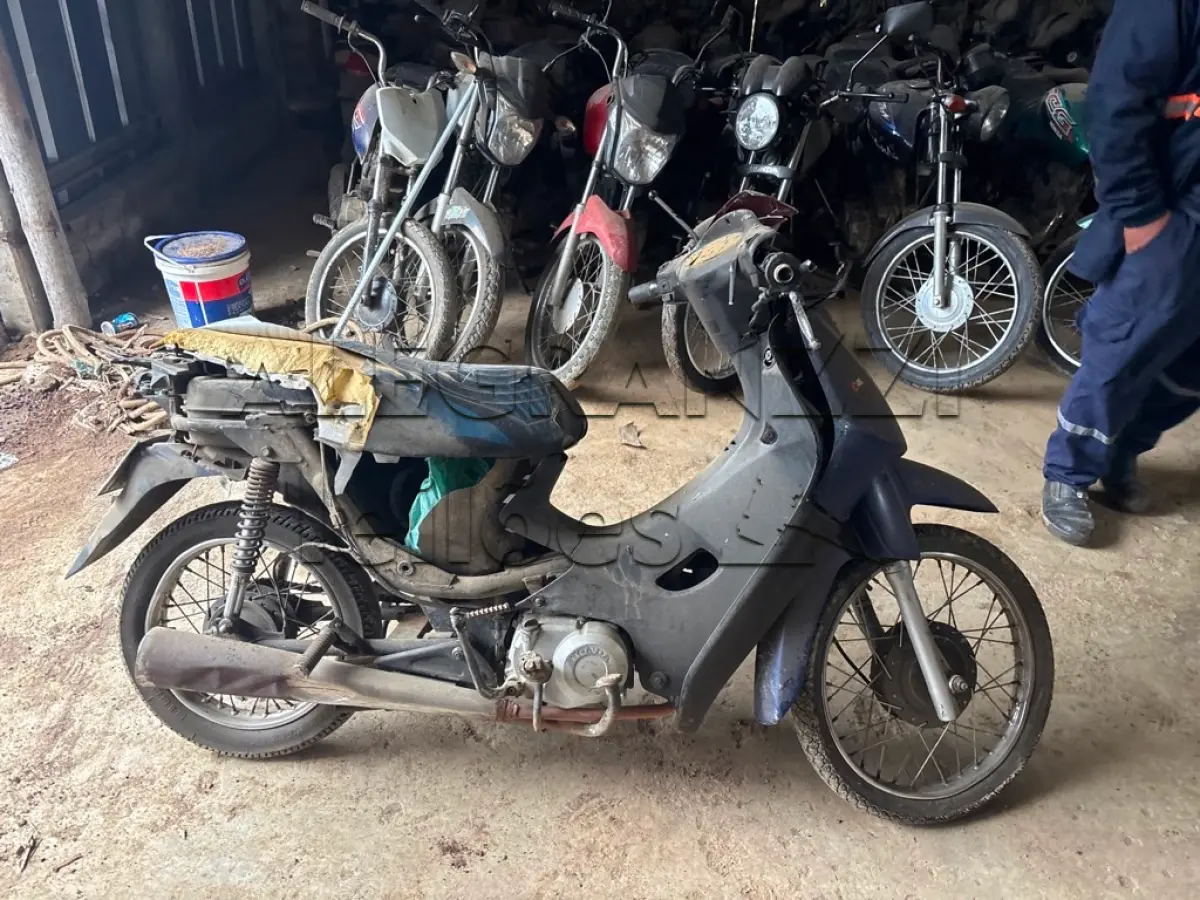 LOTE 0464