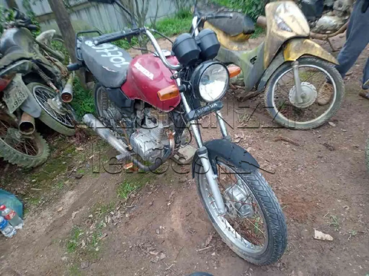 LOTE 0431