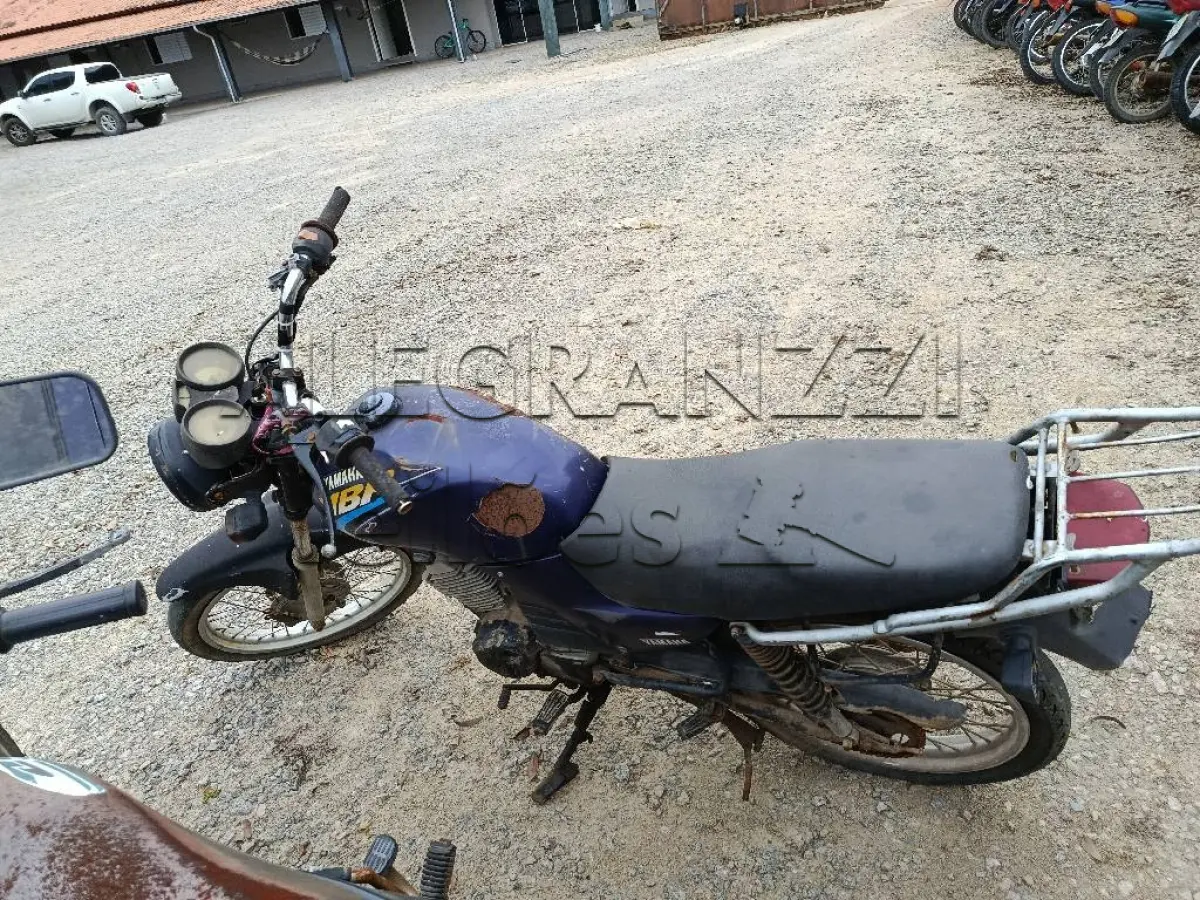 LOTE 0732