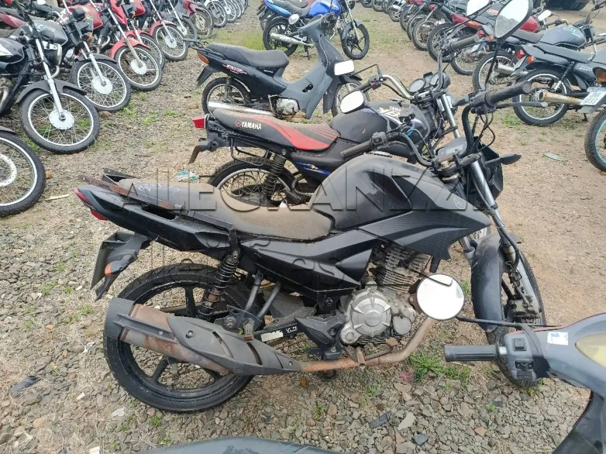 LOTE 0335