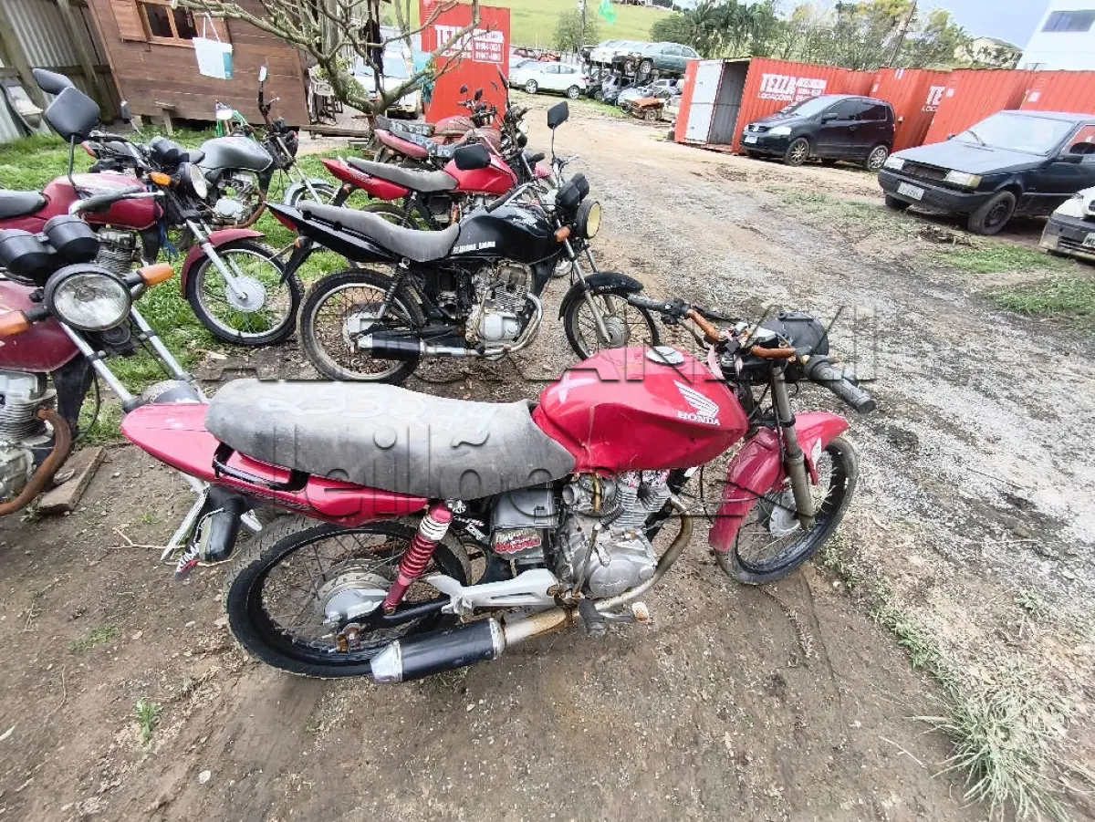 LOTE 0428