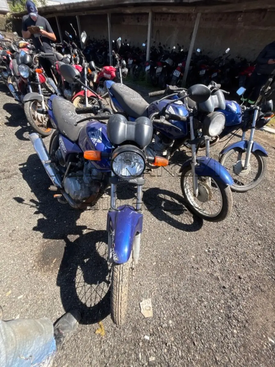 LOTE 0489