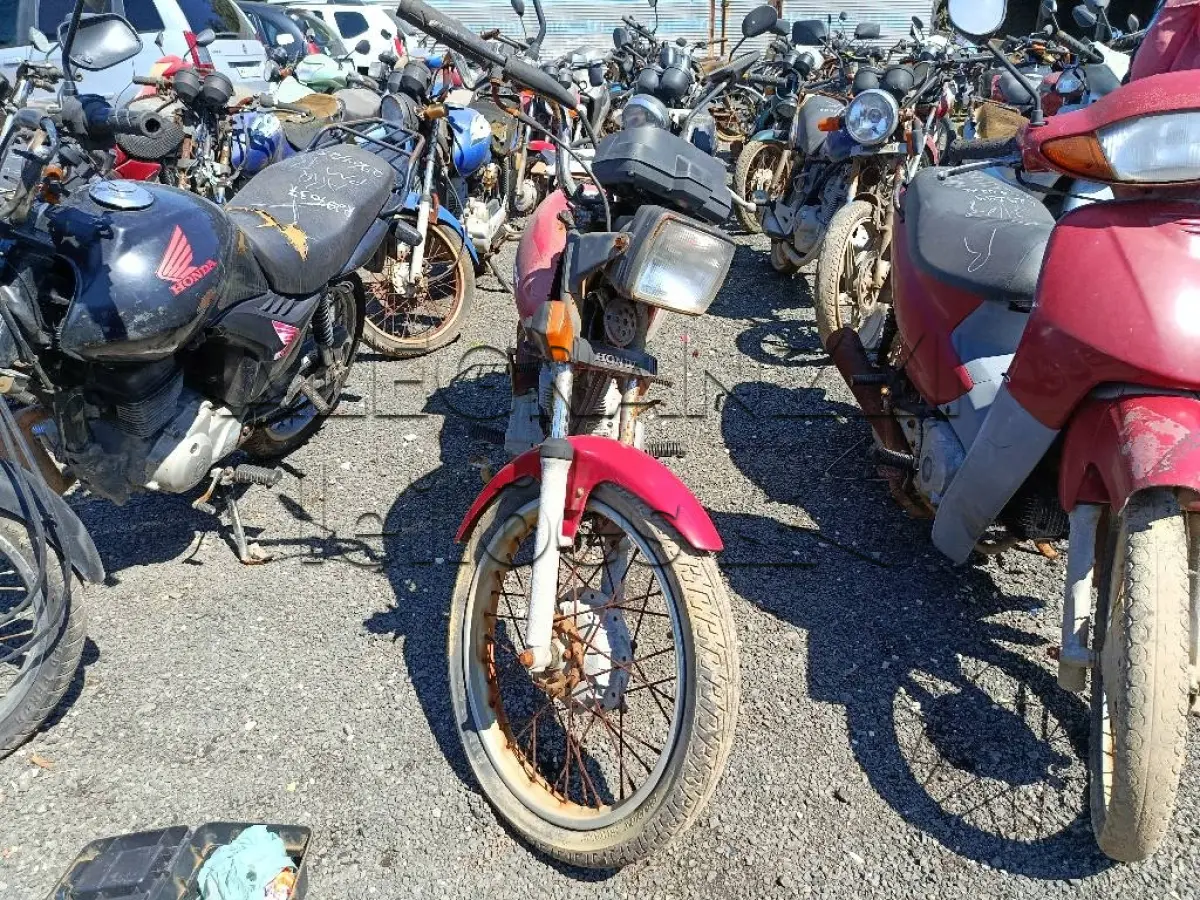 LOTE 0493