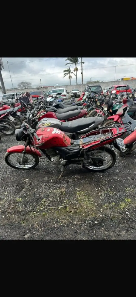 LOTE 0495