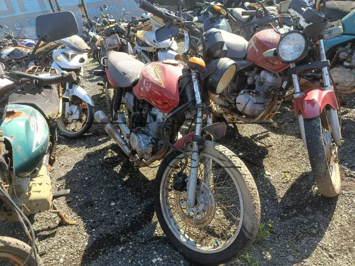 LOTE 0481