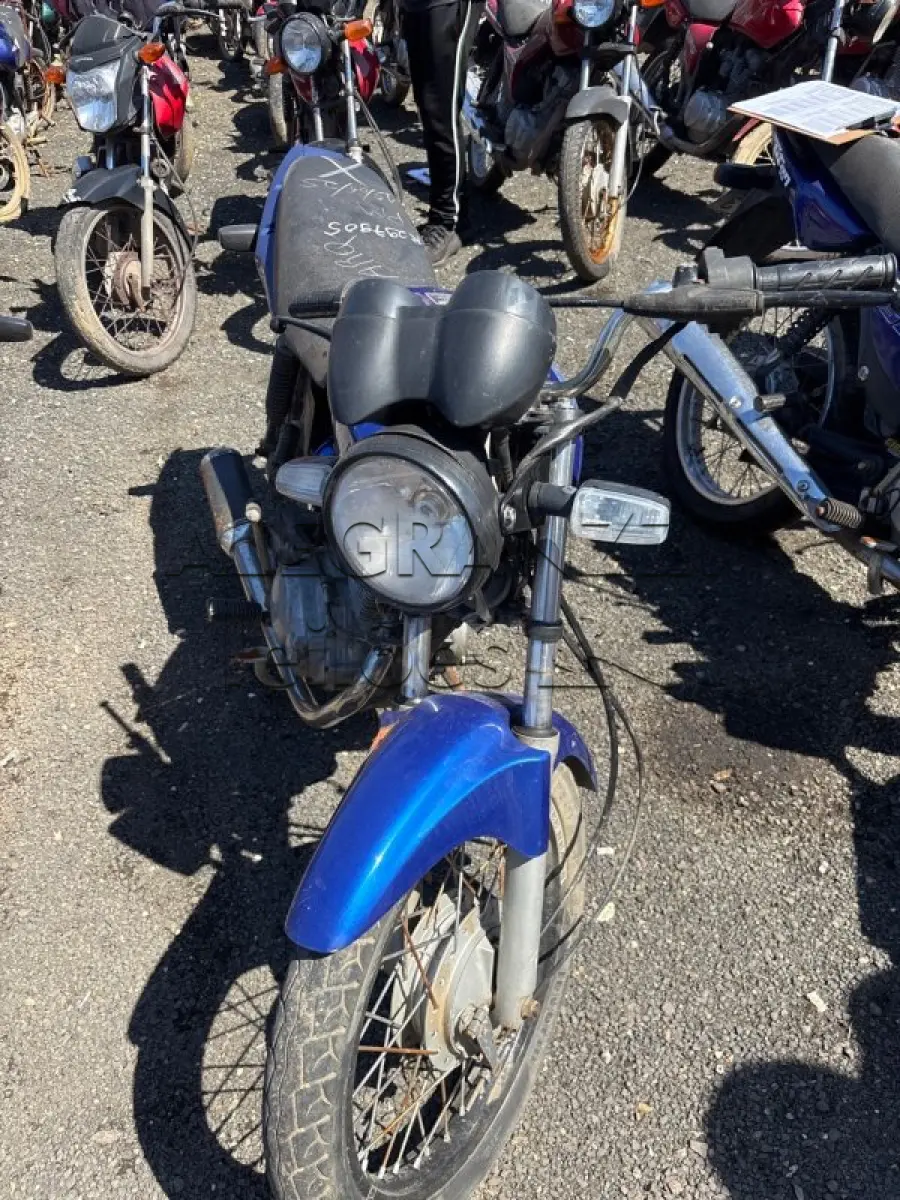 LOTE 0769
