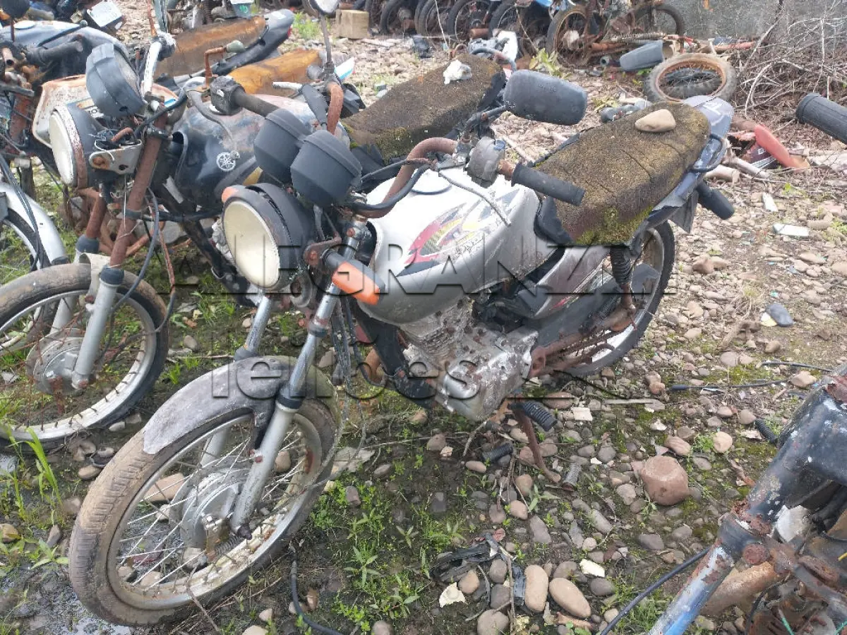LOTE 0783