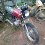 Foto 1
