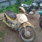 Foto 1