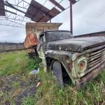 LOTE 043 - SUCATA DE VEÍCULO BAIXADO FORD CAMINHÃO F600 BASCULANTE - ANO 1980/1980